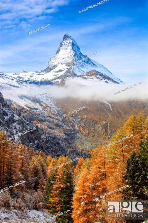 The Matterhorn 4478 M An Larch Trees In Autumn Near Zermatt Valais
