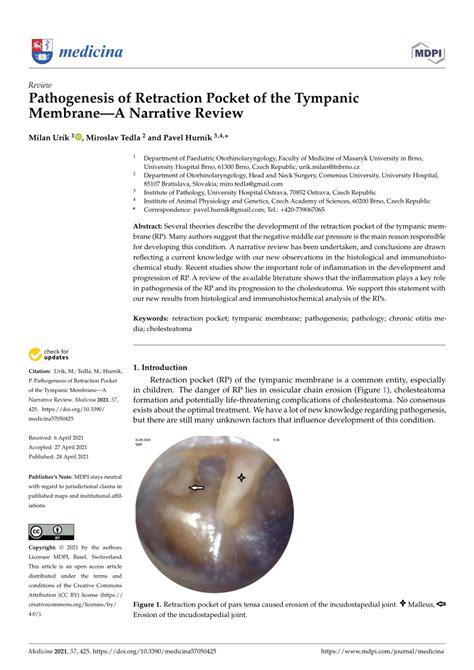 PDF Pathogenesis Of Retraction Pocket Of The Tympanic MembraneA