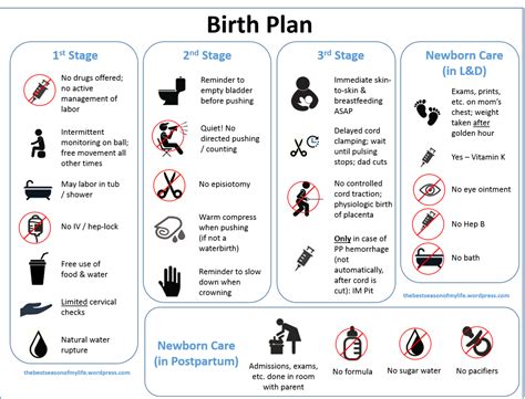 A Downloadable Visual Birth Plan Birth Plan Template Birth Plan How