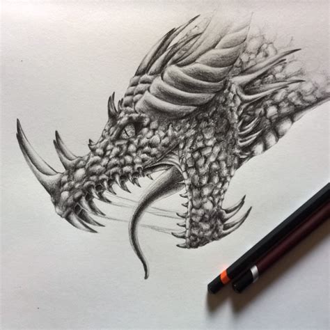 Dragon Face Sketch At Explore Collection Of Dragon