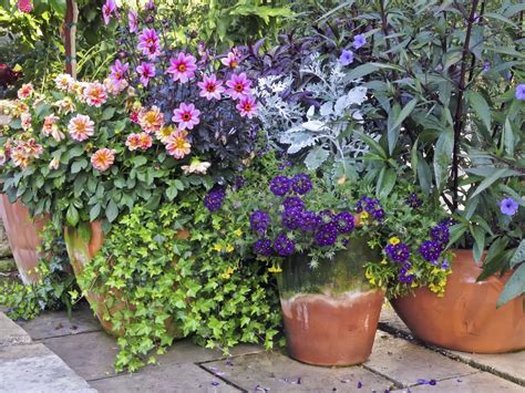 Container Garden Placement Learn How To Plant A