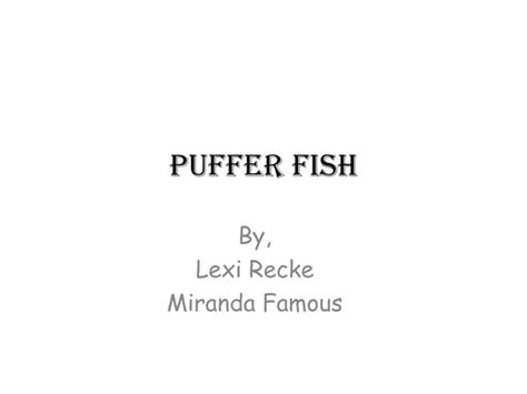 Puffer Fish Beep Lexi And Me Ppt