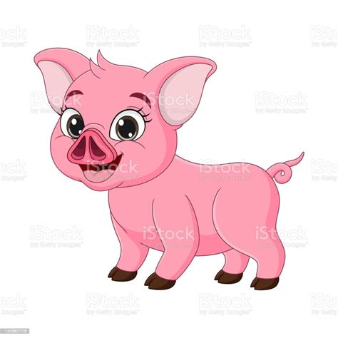 Cute Baby Pig Cartoon On White Background Stock Illustration Download