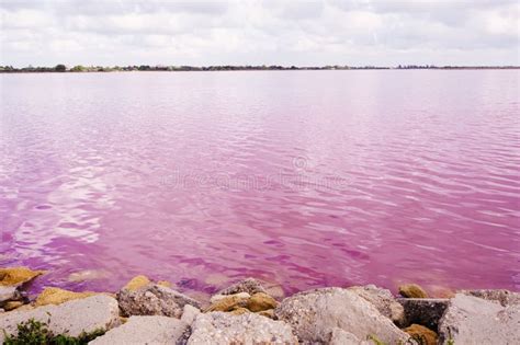 Salins Pink Coloured Salt Marshes Stock Image Image Of Attraction
