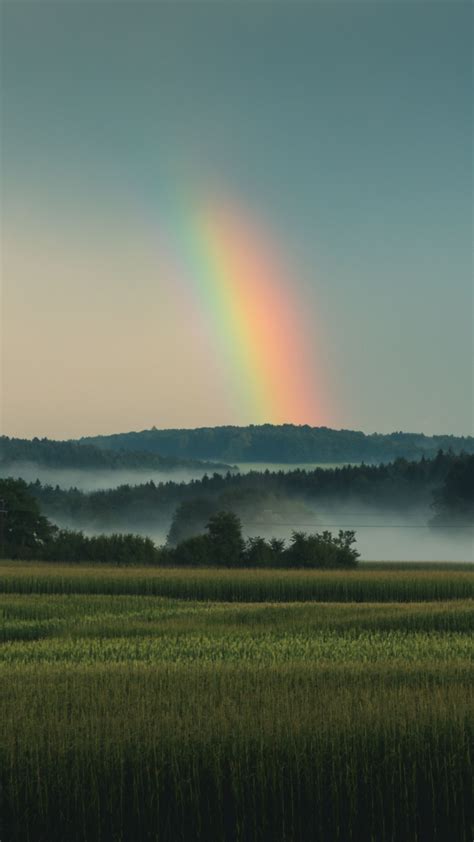 Download Wallpaper 720x1280 Grassland Landscape Sky Rainbow Samsung