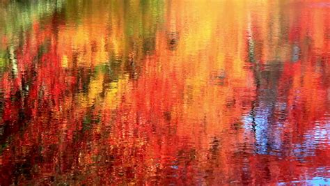 Colorful Abstract Autumn Leaves Water Reflection Stock