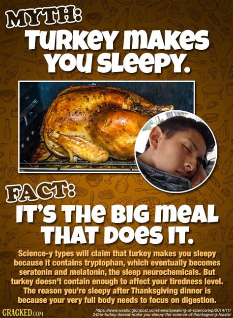 Does Turkey Make You Sleepy 24 Things Everyone Knows About Food And