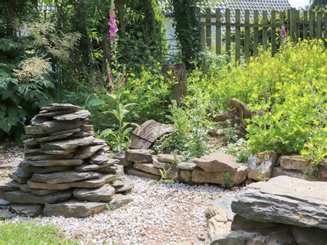 Check spelling or type a new query. Eidechsen Im Garten Ansiedeln - 1000 Garten Design Ide