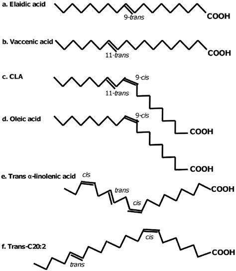 Structures Of Cis And Trans Fatty Acids Elaidic Acid 9 Trans