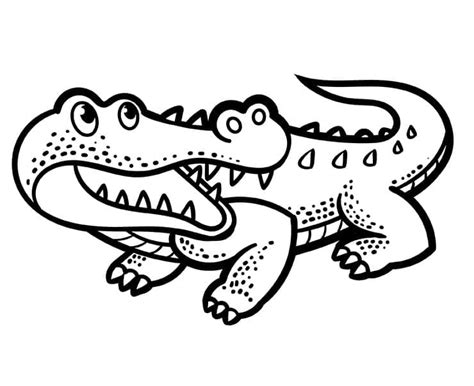 Desenhos De Um Crocodilo Feliz Para Colorir E Imprimir Colorironlinecom