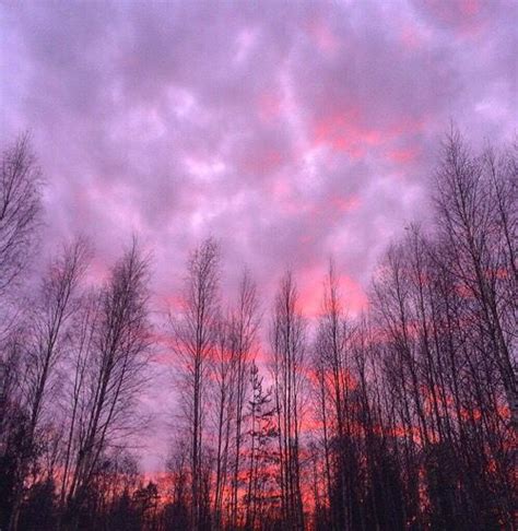 Pinterest Lyricaline Pink Purple Sky Forest Sunset Sunrise