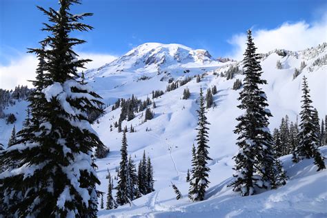 Basic Snowshoe Paradise Mount Rainier — The Mountaineers