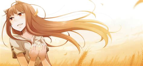 Spice And Wolf 8k Ultra HD Wallpaper And Background 9655x4510 ID 657654