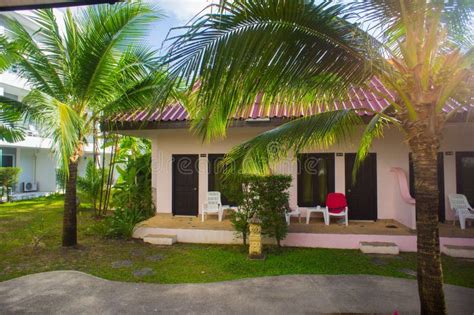 Bungalow And Palm Tree Next To Lagoon Stock Photo Image Of Luxury