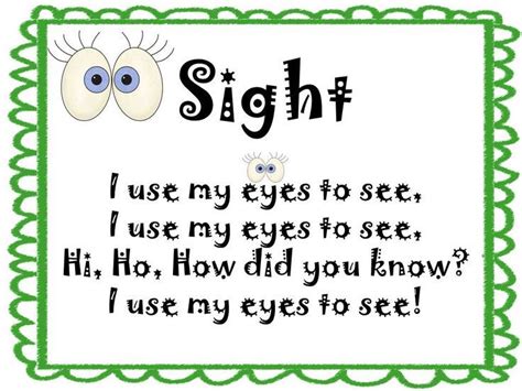 Activities For Sense Of Sight Today I Started With Sight And We