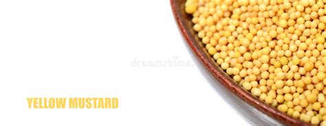 Yellow Mustard Seeds Stock Photo Image Of Green Bamboo 53852348