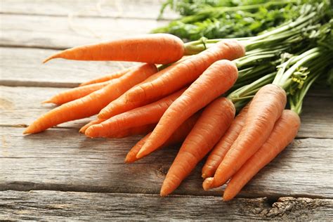 Growing Indoor Carrots Tips For Success