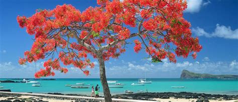 We have reviews of the best places to see in mauritius. Mauritius ranked as the happiest country in Africa ...