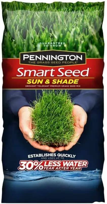 Best Grass Seeds For Shade And Shaded Areas Gardener Corner