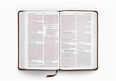 Esv Thinline Bible Trutone Royal Lion English Standard Version