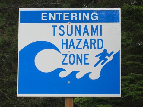 Severe ground shaking from local earthquakes may cause tsunamis. Be Prepared, Always: The Tsunami Message From New Zealand ...