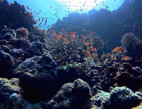 23 Ocean Facts Exploring Our Planets Vast Blue Expanse