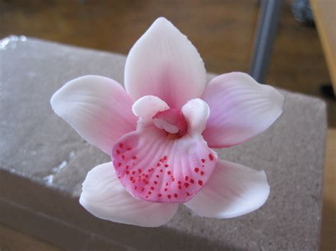 Sugar Orchid Made In The Sugar Flowers Class I Am Attendin Helen