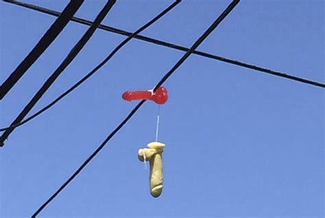 Hundreds Of Dildos Dangle From Power Lines In Bizarre Portland Sex Toy