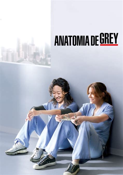 Anatomia De Grey Temporada Assista Epis Dios Online Streaming