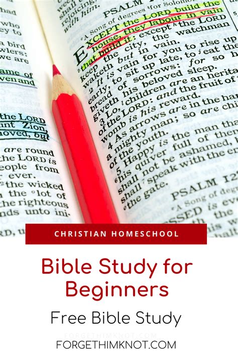 7 Easy Steps Bible Study For Beginners And Free Bible Lesson Forget