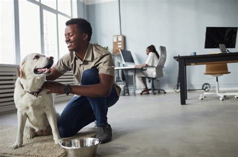 Full Length Portrait Of Smiling Africanamerican Man Petting Dog While