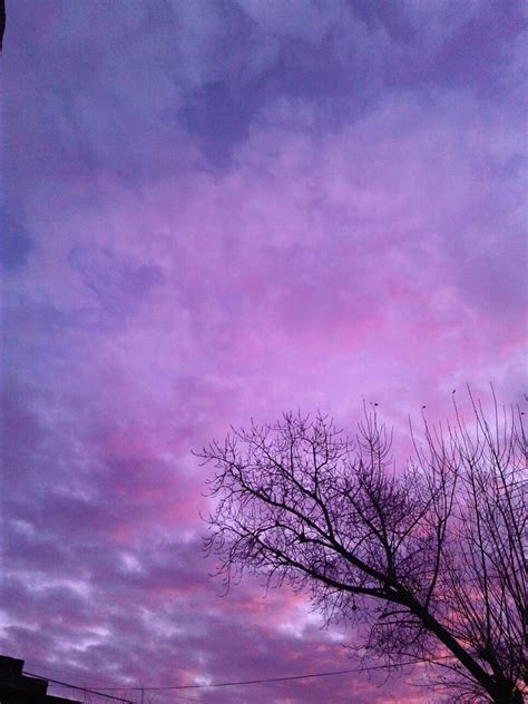 Beautiful pink sunset, blue sky, purple sea background, blurred watercolor sunrise, quiet ocean beach landscape, peaceful morning. Pinterest- voguesmoothie Instagram- giannasegura | Purple ...