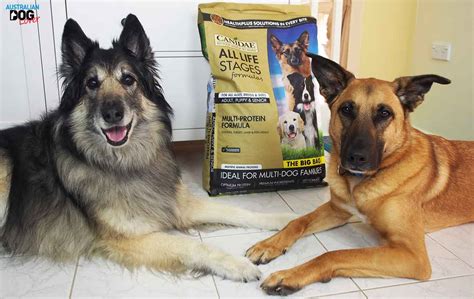The brand gets positive reviews on consumer affairs, where it has an overall satisfaction rating of over 4 out of 5 stars. CANIDAE® All Life Stages Dog Food Review | Australian Dog ...