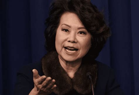 She's among the very few americans who has been appointed to two presidential cabinet positions: Elaine Chao, mitch mcconnell wife - bio, age, children ...