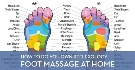 How To Do Your Own Reflexology Foot Massage At Home Massage Gear Guru