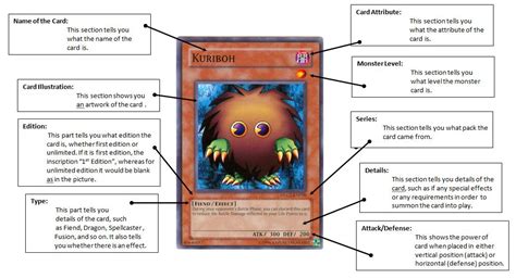 Your One Stop Trading Card Center Anatomy Of A Yu Gi Oh Trading Card