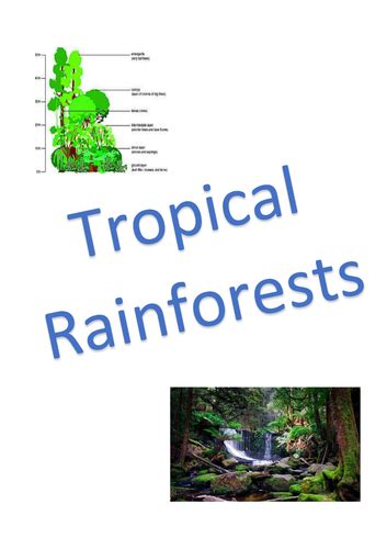 The Living World Tropical Rainforests Revision Notes Aqa Gcse