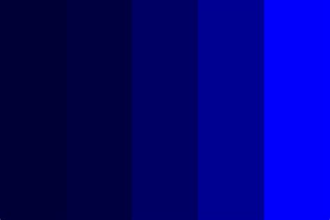 Root 9 To Navy Blue Color Palette