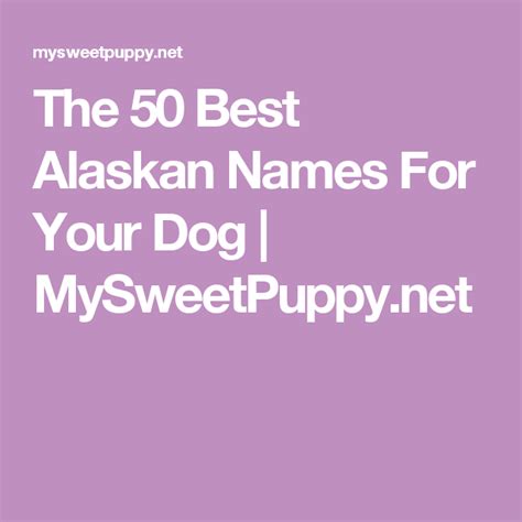 The 50 Best Alaskan Names For Your Dog
