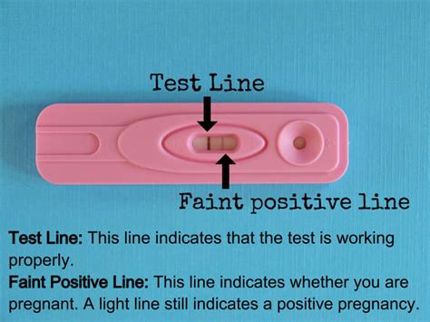 First Response Pregnancy Test One Line Lighter Than The Other
