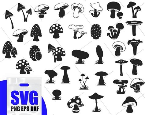 Mushroom Silhouette Mushroom Svg Mushroom Clipart Mushrooms Dxf