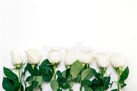 White Rose A Bouquet Of Delicate Roses On A White Background Place