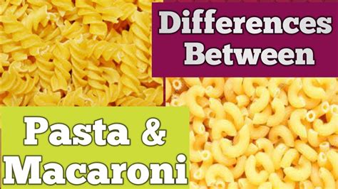 Pasta Vs Macaroni Difference Between Of Pasta And Macaroni Bala