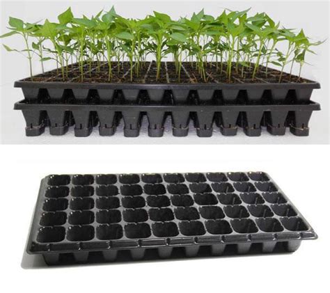50 Cell Seedling Starter Trays For Seed Germination And Plant Propagation