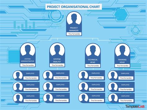 Professional Organizational Chart