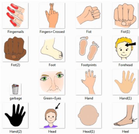 Body Part Clipart External And Other Clipart Images On Cliparts Pub™