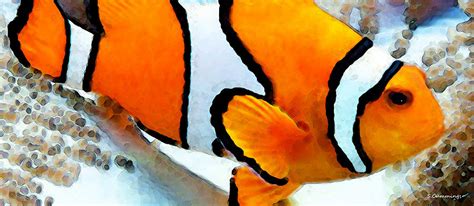 Clown Fish Clownfish Tropical Fish Painting By Sharon Cummings