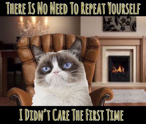 Grumpy Cat Says There Is No Need To Repeat Yourself I Didnt Care The