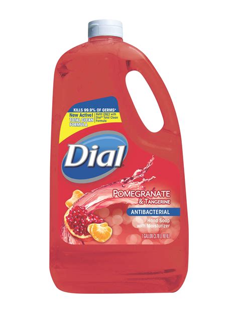 Dial Pomegranate And Tangerine Antibacterial Hand Soap With Moisturizer