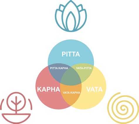 Vata Pitta Kapha Are Doshas In Ayurveda Type Of Body